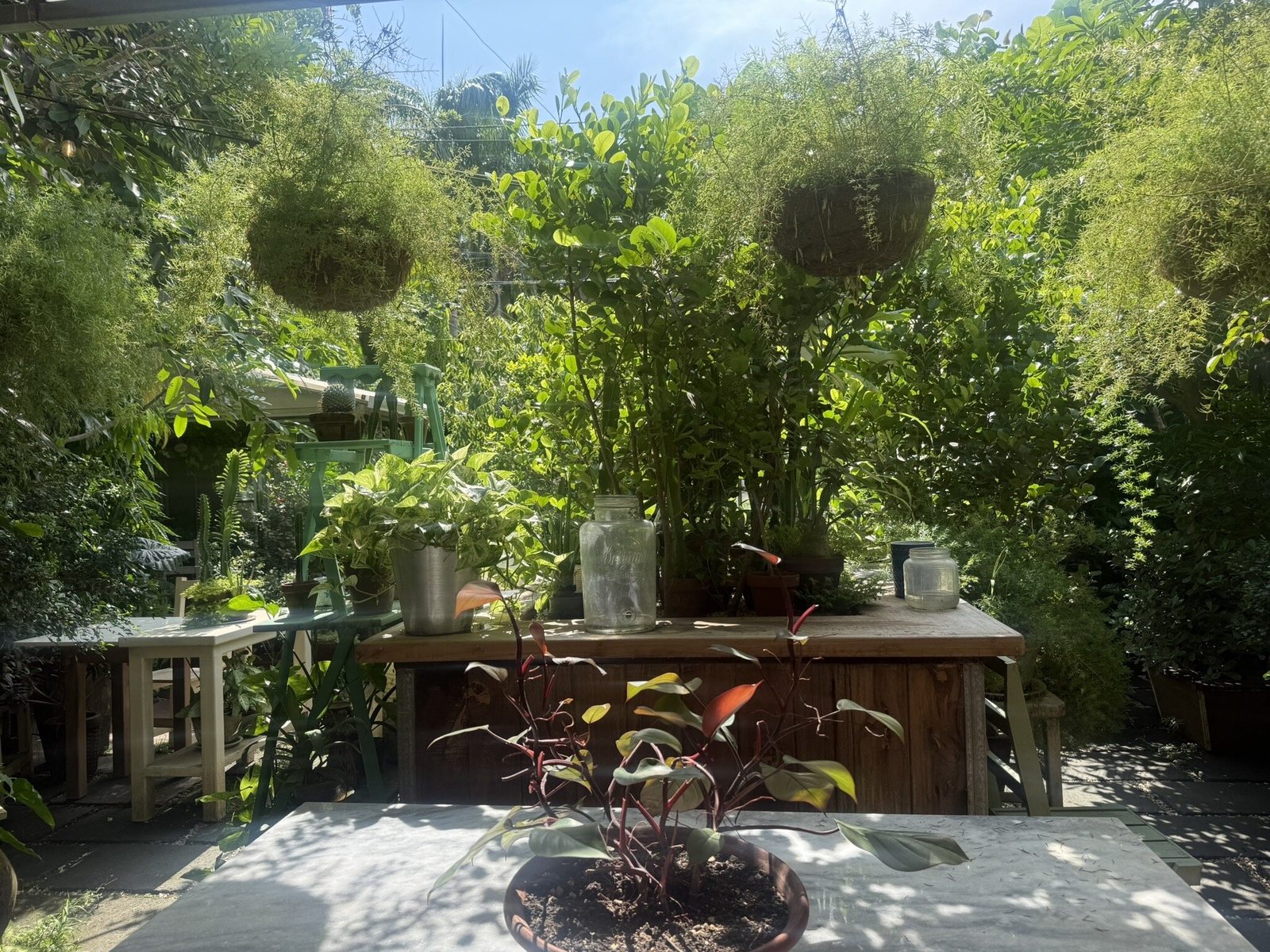 Posada Margherita